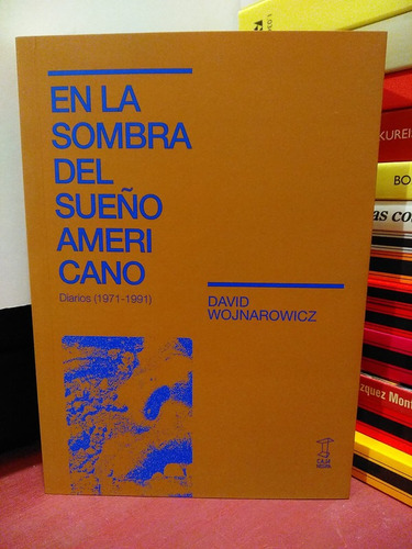 En La Sombra Del Sueño Americano. Diarios- David Wojnarowicz