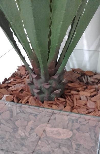 Imagem 3 de 5 de Casca De Pinus Polida Orquídeas Decoração Jardim 40 Litros