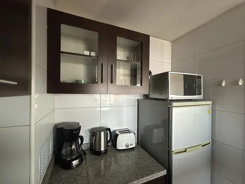 Arriendo Departamento Moderno Y Luminoso Santiago Centro