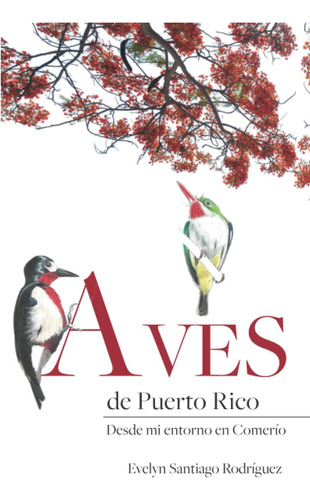 Libro: Aves De Puerto Rico: Desde Mi Entorno En Comerío (spa