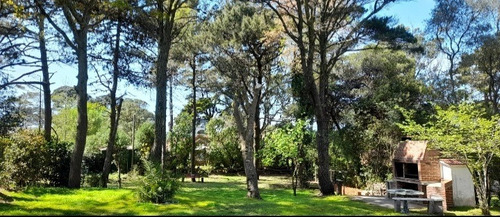 Imagen 3 de 17 de Alquilo Casa En Pinamar