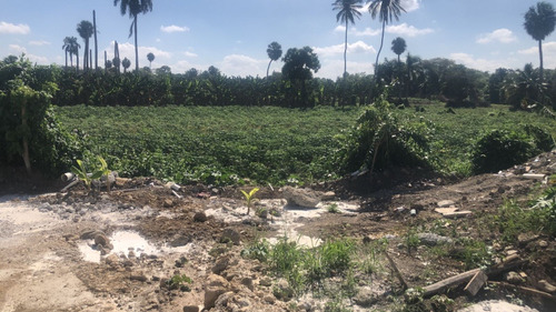 Terreno En Circunvalación Norte 