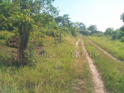 Imagen 5 de 6 de Terreno En Venta Federico Garcia Blanco