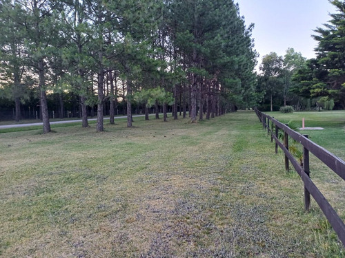 Venta Casa Estancia Las Lilas Chacras De Campo