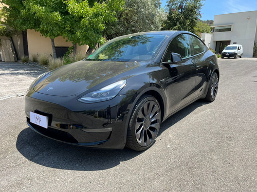 Tesla MODEL Y Performance