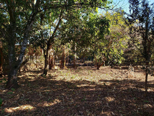 Imagem 8 de 13 de Chácara Com 2 Dorms, Vila Santa Fé, Pirassununga - R$ 350 Mil, Cod: 10131830 - V10131830