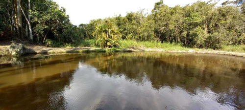 Imagem 10 de 14 de Maravilhoso Sítio Em Meio A Natureza De Biritiba Mirim!!!
