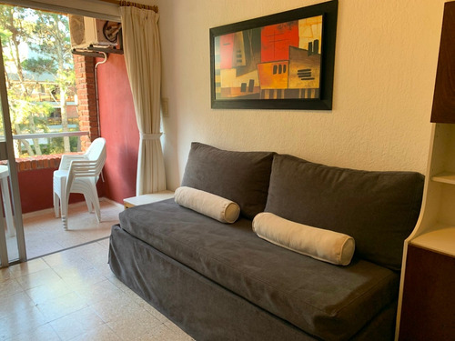 Imagen 6 de 14 de Apartamento Con Piscina En Punta Del Este. Solo Temporada.