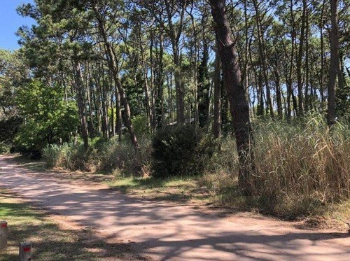 Imagen 7 de 8 de Exclusivo Lote Sobre Av Divisadero Carilo