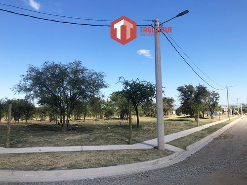 Imagen 3 de 5 de La Arbolada - Maginifico Lote