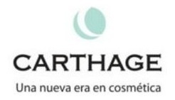 Protector Solar Spf 40 Con Color 100gr Carthage