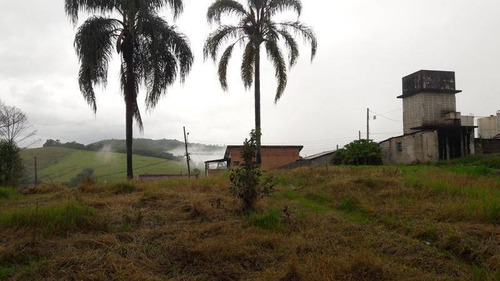 Imagem 16 de 19 de Ótimo Terreno Com Platô Pronto Em Santa Branca - Te0215