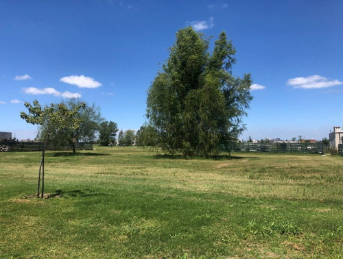 Imagen 2 de 15 de Lote Interno De 788m2 - Orientación Sudoeste - El Naudir