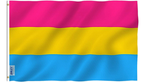Bandera Anley, Orgullo Pansexual, 100% Poliéster, 90 X 15...