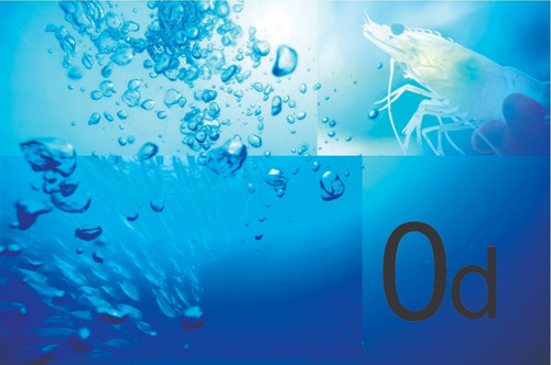 Imagem 1 de 2 de Oxigênio Em Pó Para Aquicultura 1kg
