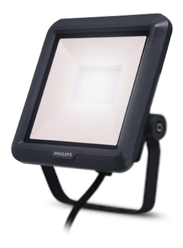 Reflector Proyector Led Philips 10 W Exterior Luz Fria / Dia