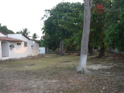 Imagem 8 de 15 de Terreno Residencial À Venda, Paupina, Fortaleza. - Te0068