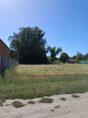 Terreno 655m2- Oportunidad Unica, Carmen De Areco