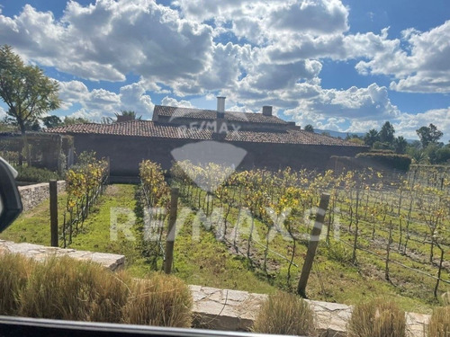 Terreno Venta San Miguel De Allende