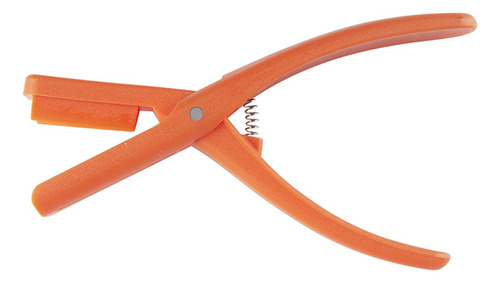 De Herramienta Eficaz Para Mariscos, Protección De Naranja