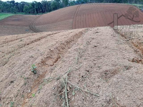Imagem 8 de 15 de Cód 4204- Excelente Terreno Em Ibiúna. - 4204