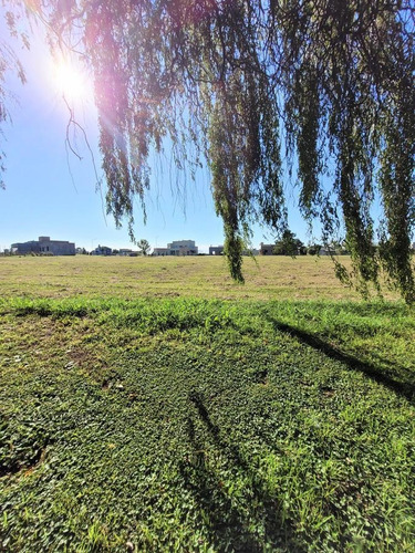 Imagen 2 de 5 de Terreno - Gualeguaychu