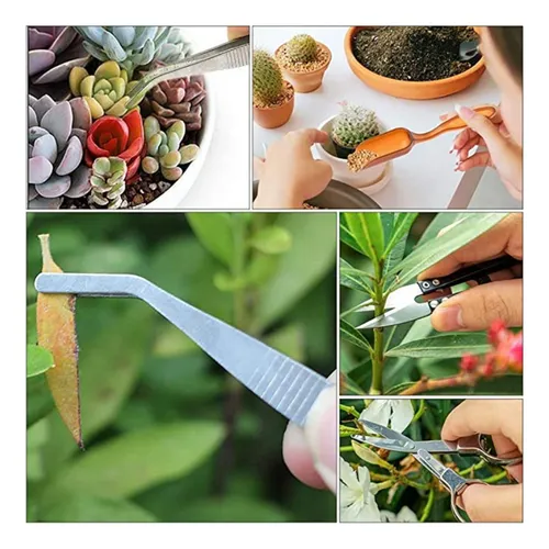 12 Piezas De Herramientas De Trasplante Manual, Herramientas