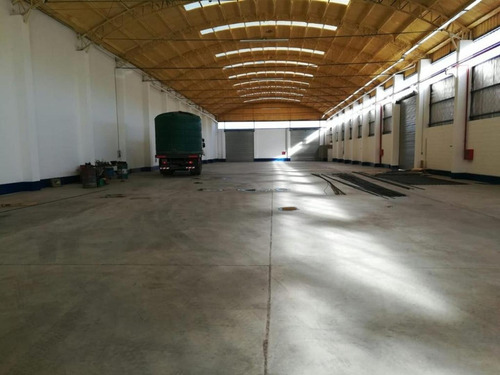 Imagen 11 de 30 de Alquilo Galpón 1800 M2 300 M2 Ofi Y Playa 500 M2 Neuquen