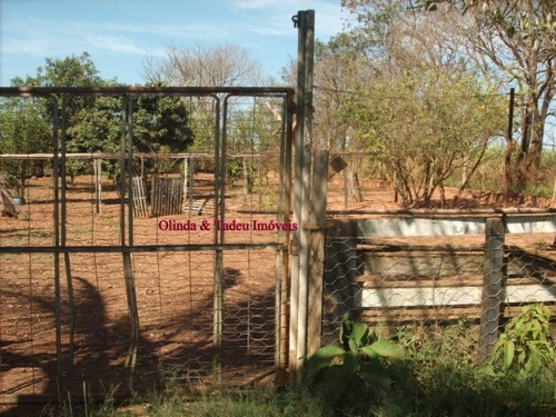 Imagem 8 de 21 de Sítio Areas Para Incorporações E Loteamentos Campinas - Sp - Carlos Gomes - Si0011