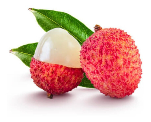 Lichi Litchi C/semilla Arbolito Frutal Calidad Importación