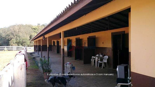 Chácara Com 4 Dormitórios À Venda, 21793 M² Por R$ 2.000.000,00 - Borda Do Campo - Piraquara/pr - Ch0005