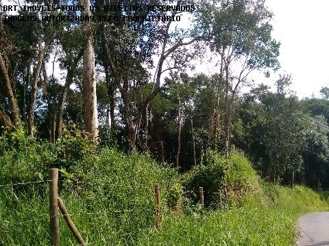 Imagem 3 de 5 de Terreno - Te00035 - 2512240