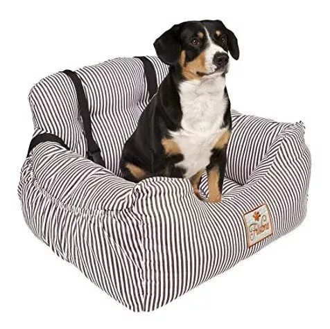 Cama Para Perro Asiento De Coche Para Perros, Asiento Elevad