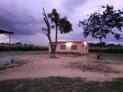 Imagen 8 de 15 de Finca En Venta, San Mateo, Anzoategui