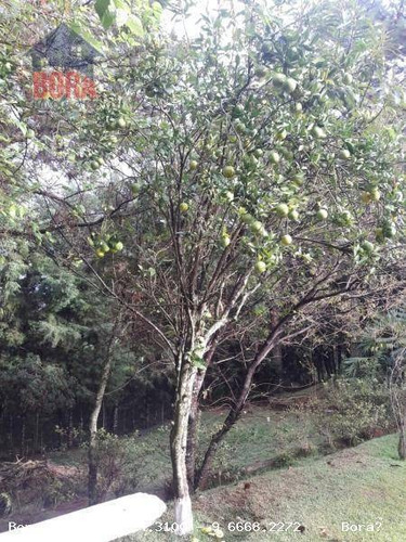 Chácara Residencial Para Locação, Cardoso, Mairiporã. - Ch0143