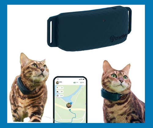 Rastreador Tec Lte Gps Ubicación Y Actividad Para Gatos