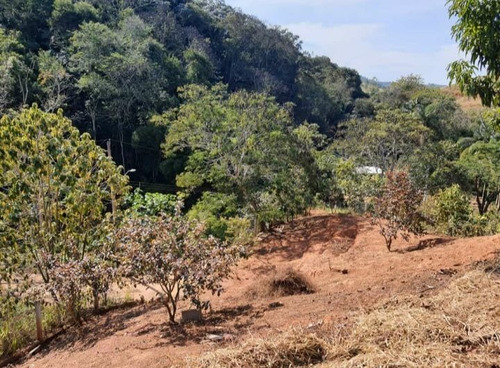 Imagem 24 de 30 de Chácara Com 2 Dormitórios À Venda, 2000 M² Por R$ 250.000,00 - Sete Voltas - Taubaté/sp - Ch0135