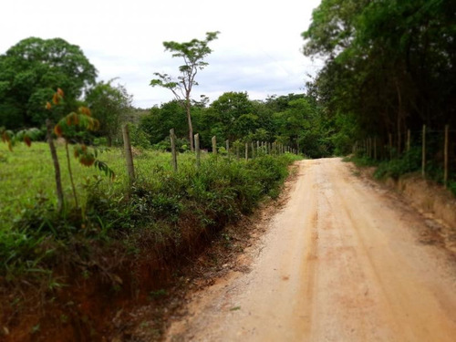 Fazenda Para Venda Em Nova União, Fazendinha, 4 Dormitórios, 1 Banheiro - F14_1-1023508
