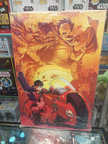 Cuadro Akira Pelicula En Tela Pvc 60x40