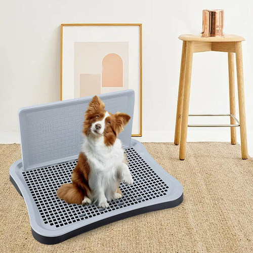 Inodoro For Perros Con Columna Urinaria Bandeja For Orinal