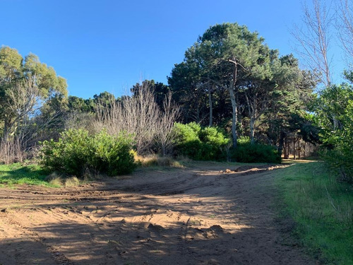 Imagen 7 de 12 de Lotes En Costa Del Este Cerca Del Mar Y La Reserva