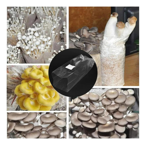 20 Bolsas Compatible Con Cultivo De Hongos, Bolsas De Para