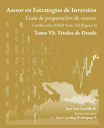 Asesor En Estrategias De Inversion: Tomo Vi: Titulos De Deud