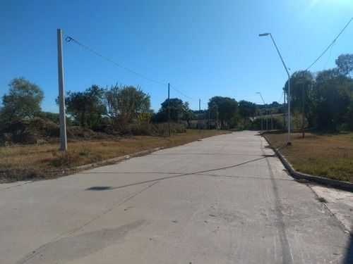 Lapachos Iii