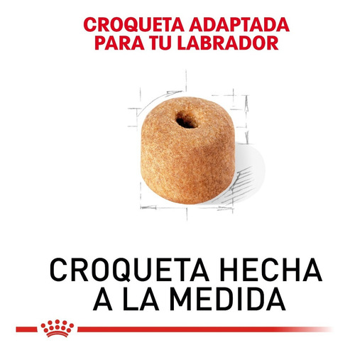 Imagen 3 de 6 de Royal Canin Labrador 13.6 Kg Nuevo Original Sellado