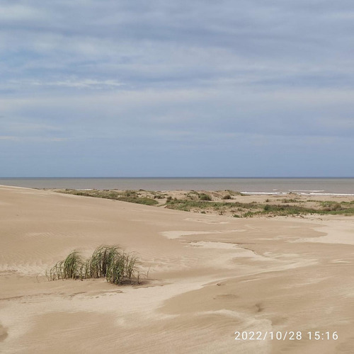 Chacra Sobre Ruta 11 En Verdemar (entre Las Toninas Y Barrio De Mar) Km 314