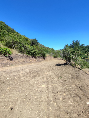 Terreno 5.000m2 En Matanzas