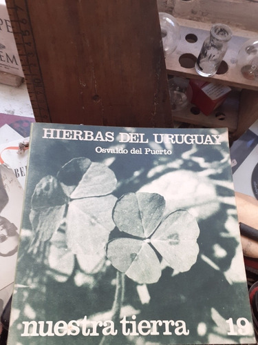 Hierbas Del Uruguay / Osvaldo Del Puerto - Nuestra Tierra 19