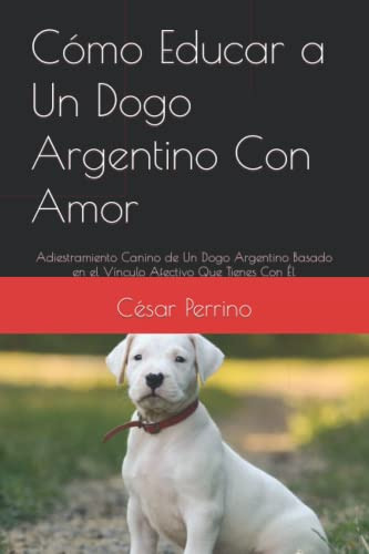 Como Educar A Un Dogo Argentino Con Amor: Adiestramiento Can