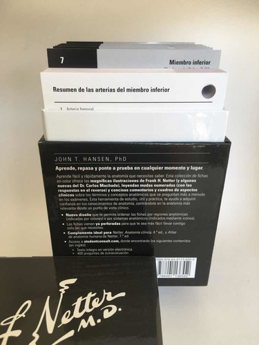 Netter Flash Card De Anatomia 5a Ed Originales Y Nuevas